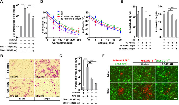 SB-431542 inhibits cell proliferation, invasion, chemo-resistance and metastasis