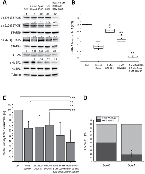 Effects of combining BKM120, RAD001 and ruxolitinib (triple drug combination) in different MPN models.