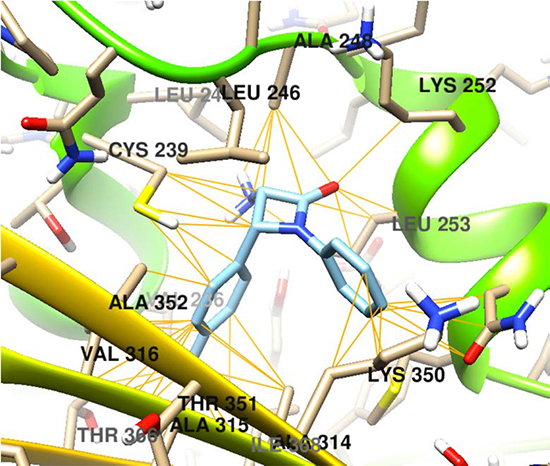 Molecular docking of the compound 6C on &#x03B2;-tubulin molecule.