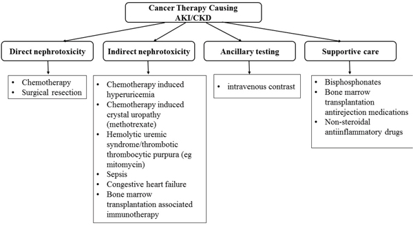 Cancer therapy causing acute kidney injury (AKI) and/or chronic kidney disease (CKD).