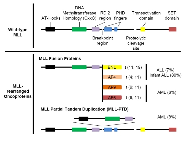 Figure 1.tif