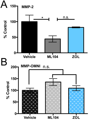 BMMPIs selectively inhibit MMP-2 activity in the bone marrow microenvironment.