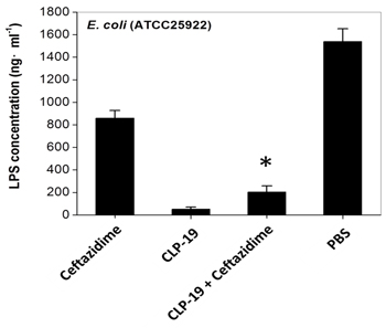 Influence of CLP-19 on antibiotic-induced LPS endotoxin release.