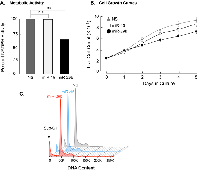 Leukemia cells expressing miR-29b-1 exhibit decreased cell growth/metabolic health, increased apoptosis, and modified expression of cell cycle related genes.