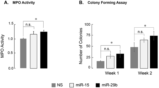 Expression of miR-29b-1 partially relieves differentiation block in leukemia cells.