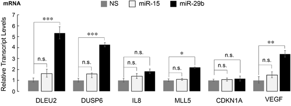 AML1-ETO target genes in leukemia cells are de-regulated upon introduction of miR-29b-1.