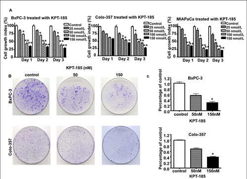 Effects of KPT-185 on PC cell growth.