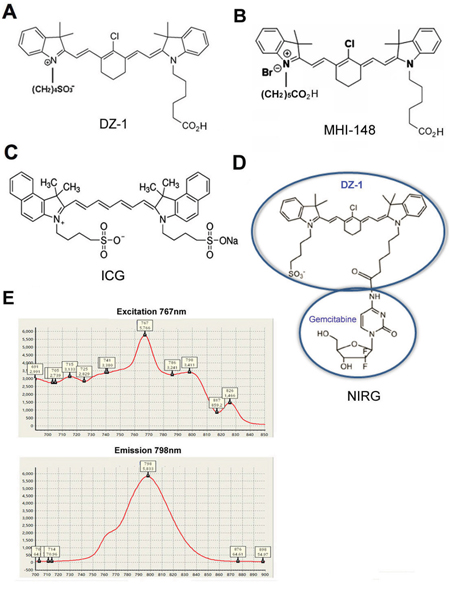 Chemical structures and spectral characteristics of heptamethine carbocyanine dye.