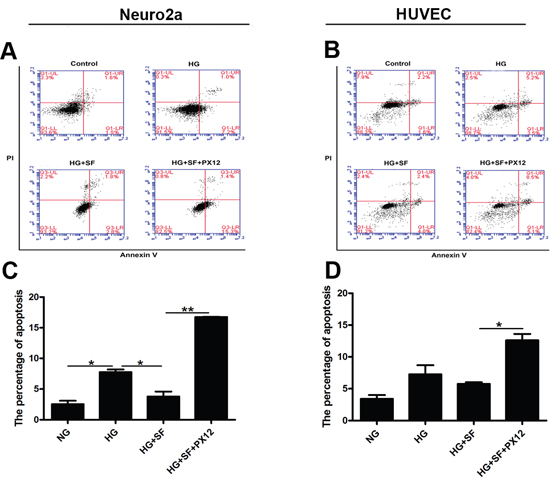 Effect of Trx on the apoptosis of Neuro2a cells and HUVECs.