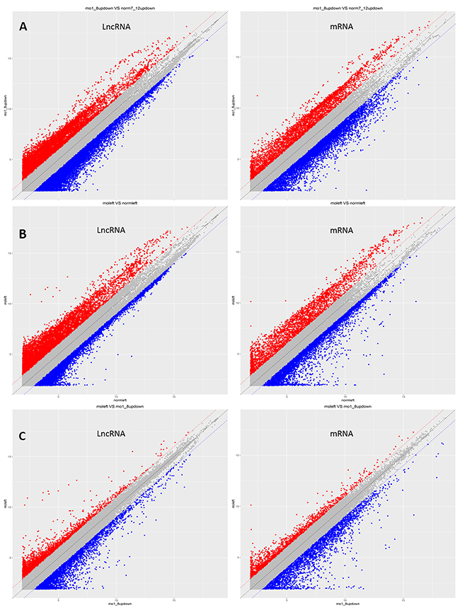 LncRNA scatter plots used to identify differentially expressed lncRNAs in four groups.