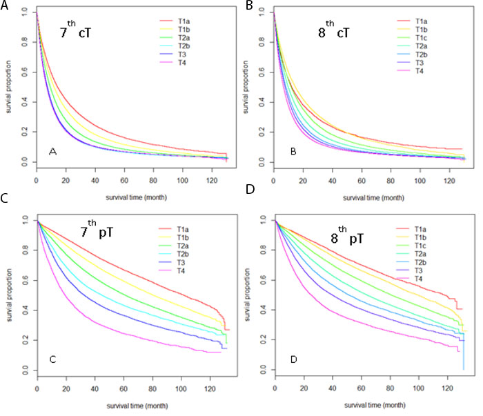 Kaplan-Meier Survival curves comparison among different T stages sub-groups.