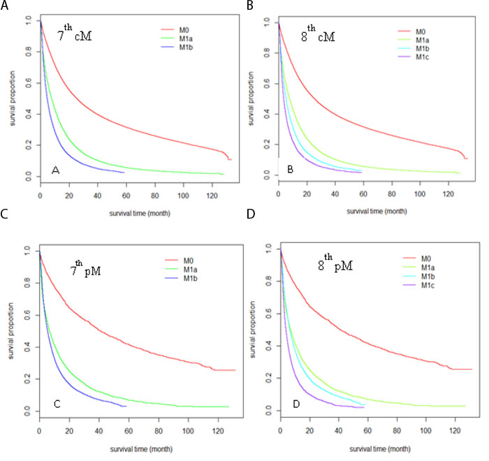 Kaplan-Meier survival curves comparison among different M stages sub-groups.