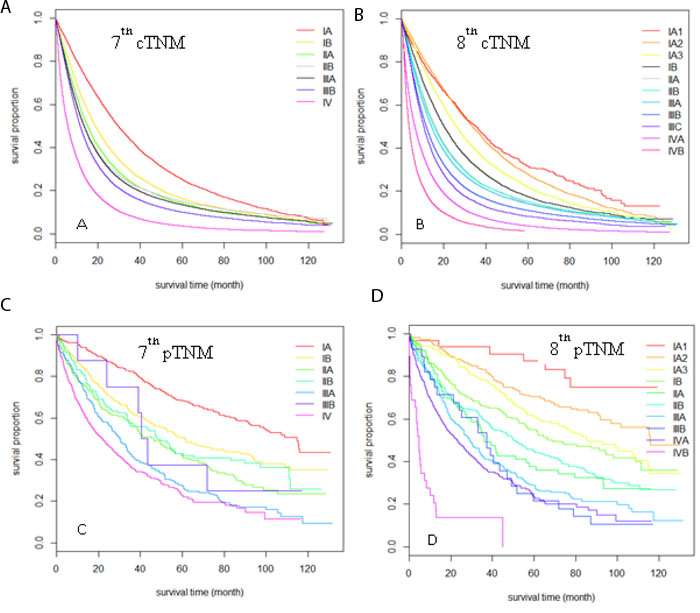 Kaplan-Meier survival curves comparison among different TNM stages sub-groups.