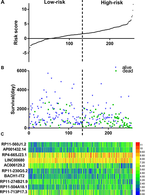 LncRNA predictive risk-score analysis of 258 soft-tissue sarcoma patients in TCGA cohort.
