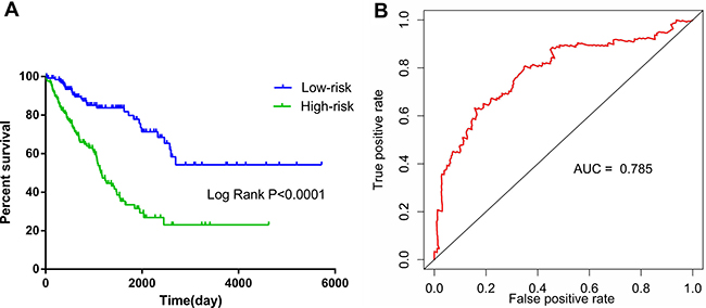 Kaplan&#x2013;Meier and survival ROC curves for the ten-lncRNA signature in TCGA soft-tissue sarcoma cohort.
