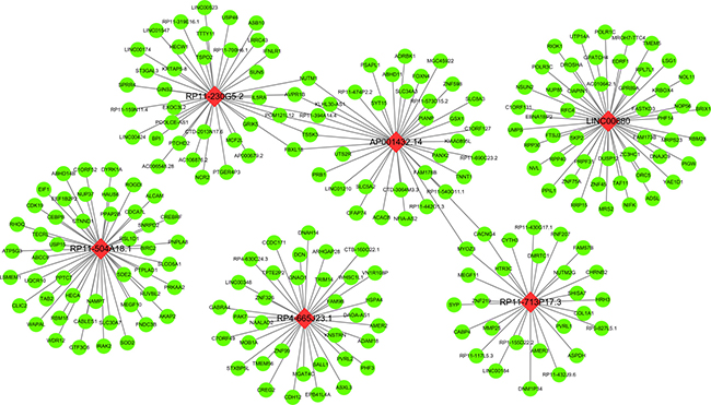 Regulation network of each key lncRNA by multi experiment matrix.