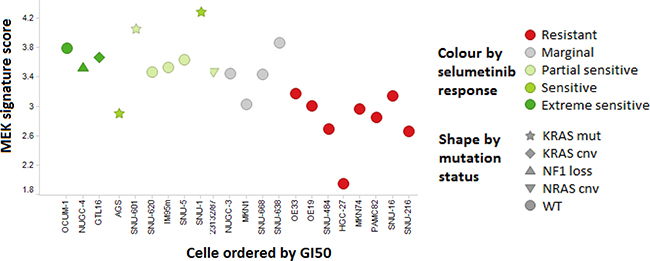 MEK signature and sensitivity to selumetinib in a panel of GC cell lines.