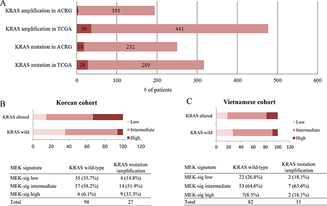 RAS mutation/amplification and distribution of MEK signature in GC.