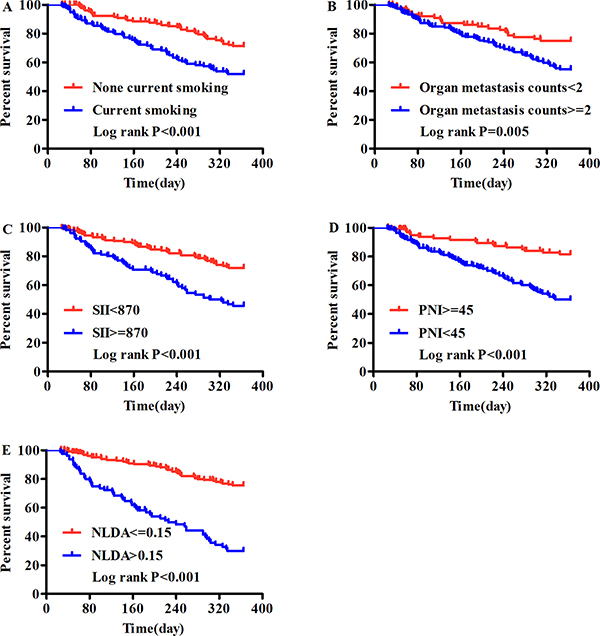 The 1-year overall survival analysis of IV stage NSCLC patients using Kaplan - Meier survival method.