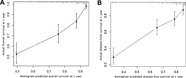 Survival nomogram calibration curve of adolescent and young adult (AYA) hepatocellular carcinoma (HCC) patients.