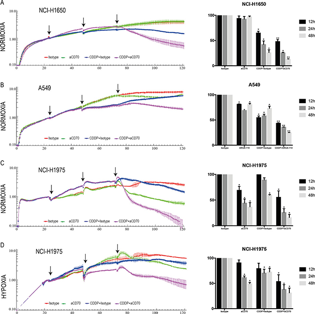 Combining CDDP with aCD70 significantly decreases tumor cell proliferation due to increased ADCC.