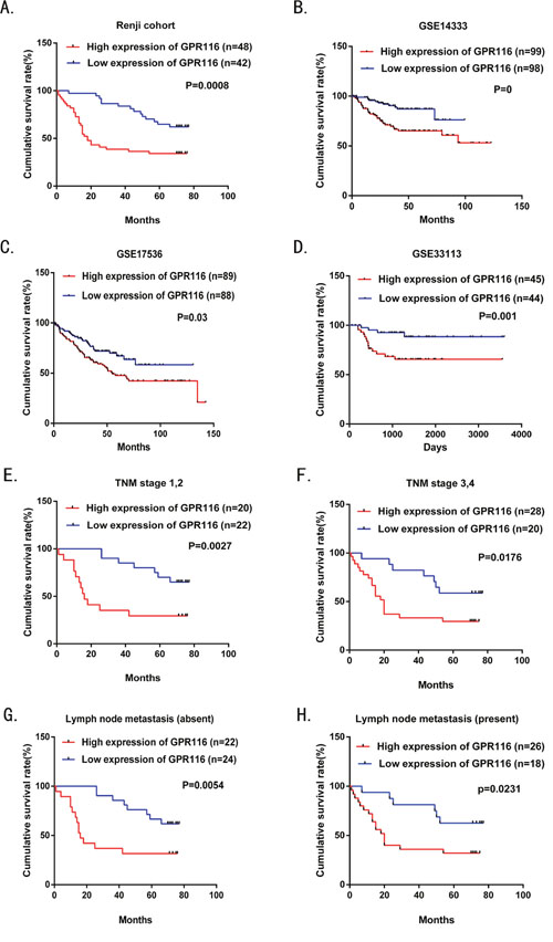 Overall survival analysis of CRC patients with different GPR116 protein expression.