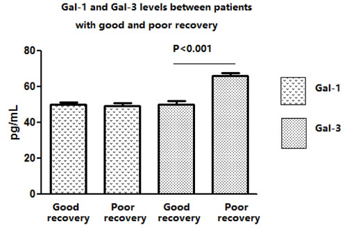 The serum Gal-1 and -3 levels in IS patients with a poor and good outcome.