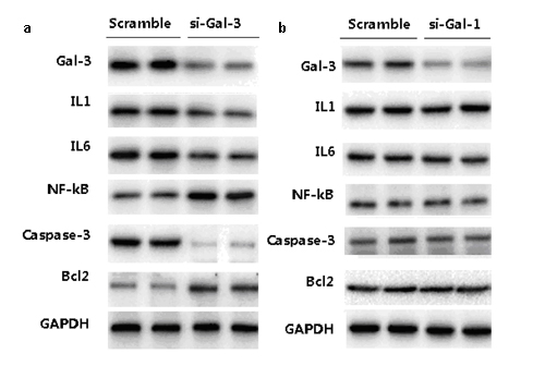 Figure 5: