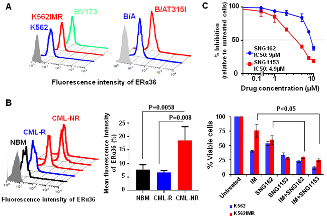 Increased surface expression of ER&#x3b1;36 in TKI-resistant cells and CD34