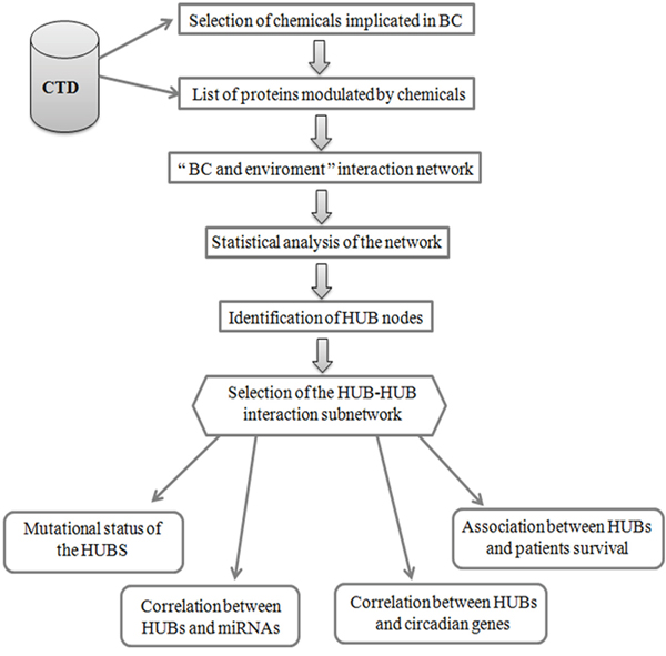 Flow-chart of the protocol used to identify and to analyse HUB nodes in &#x201C;BC and environment&#x201D; network.