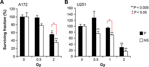 Differential radio sensitivity of glioma subpopulations.