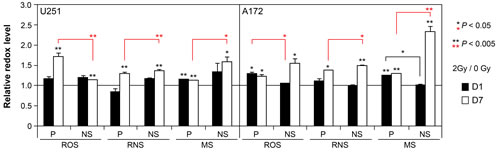 Acute and persistent oxidative stress in irradiated parental and NS subcultures of U251 and A172 cells.