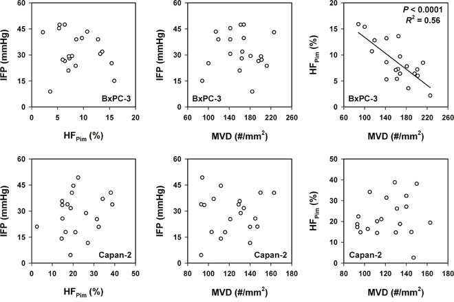 The physicochemical microenvironment of PDAC xenografts.