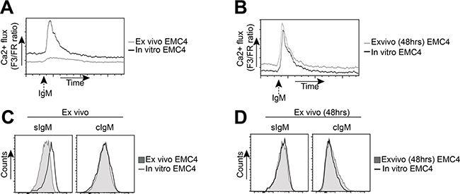 EMC4 cell lines acquire a more anergic phenotype upon engraftment.