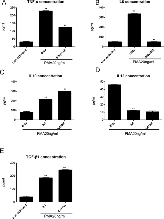 RA enhances anti-inflammatory macrophage activation in vitro analyzed by ELISA.