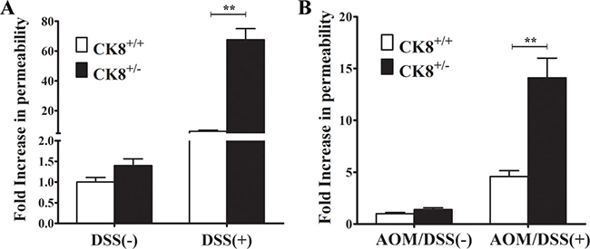 CK8+/&#x2212; mice exhibit increased colonic permeability during DSS-induced colitis and AOM/DSS-induced colorectal carcinogenesis.