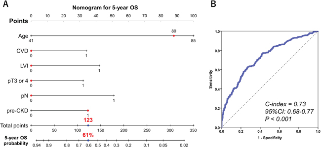 Predictive model for 5-year overall survival.