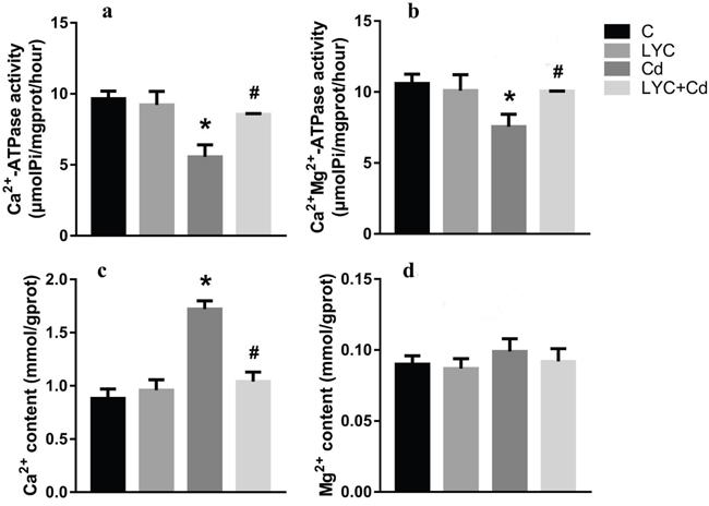 LYC inhibits Cd-induced dysfunction in Ca2+ homeostasis in TH22.