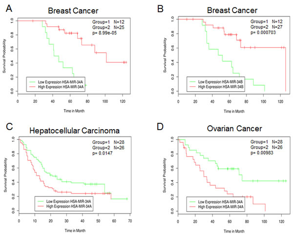 Survival correlation of miR-34 family in several human cancer datasets.