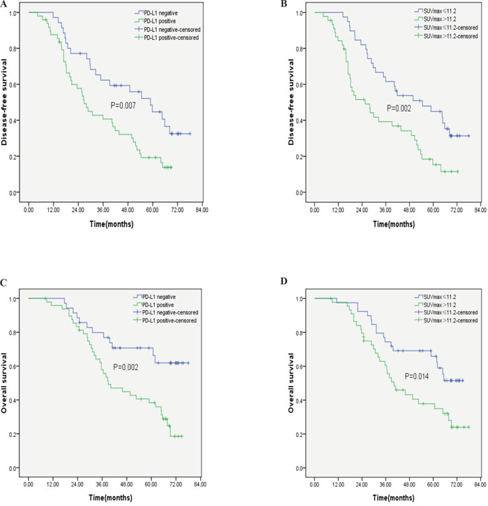 Kaplan-Meier survival curves for patients with pulmonary SCC.