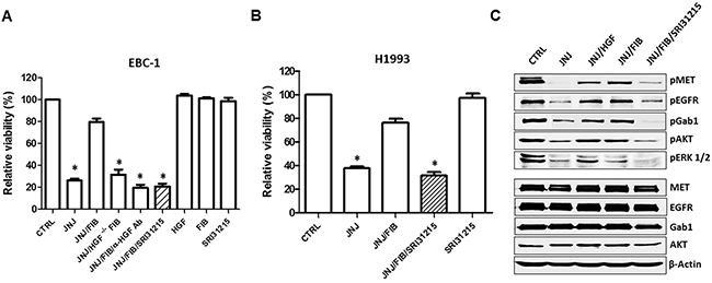 Inhibition of pro-HGF activation overcomes fibroblast-mediated resistance to MET tyrosine kinase inhibition.