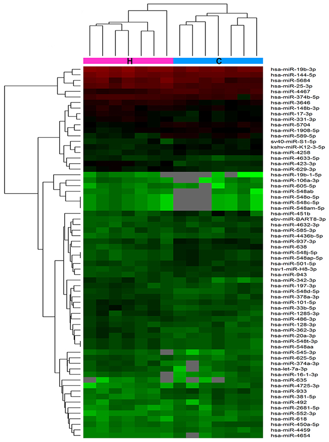 Hierarchical clustering of differentially expressed miRNA between the high-HbF group and control group in 14 reticulocyte samples.
