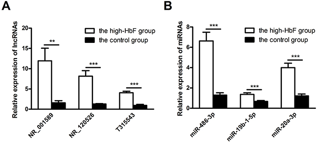 Validation of microarray data by qRT-PCR.