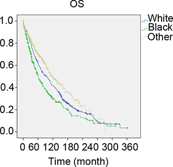 The overall survival of 1:1:1 matched groups of White, Black and other patients.