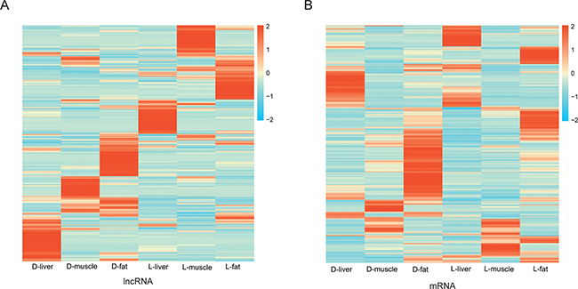 Heat-map of differently expression lncRNAs and mRNAs.