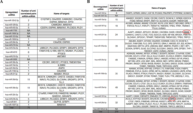 Integrative analysis between RNA-seq and miRNA-seq.