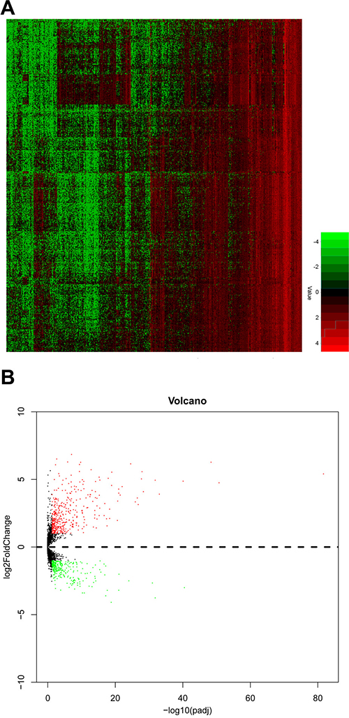 The expression level of upregulated and downregulated lncRNAs in PTC tissues.