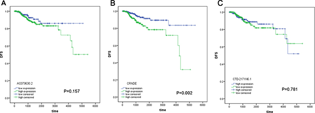 The prognostic significance of these lncRNAs for DFS.