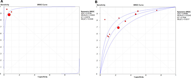 The SROC curve of AC079630 .2 and CRNDE.