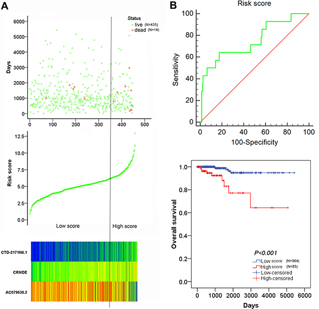 The risk score analysis of 449 PTC patients.